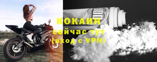 ПСИЛОЦИБИНОВЫЕ ГРИБЫ Дмитровск