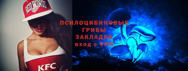 apvp Дмитриев