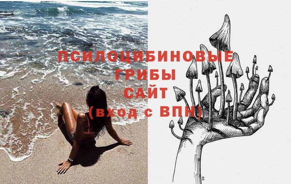 apvp Дмитриев