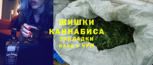 индика Осташков