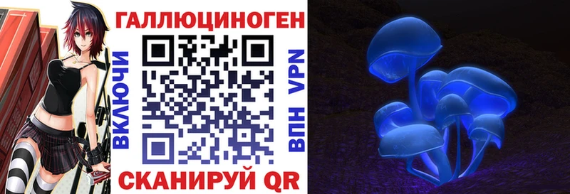 Псилоцибиновые грибы Psilocybe  Перевоз 